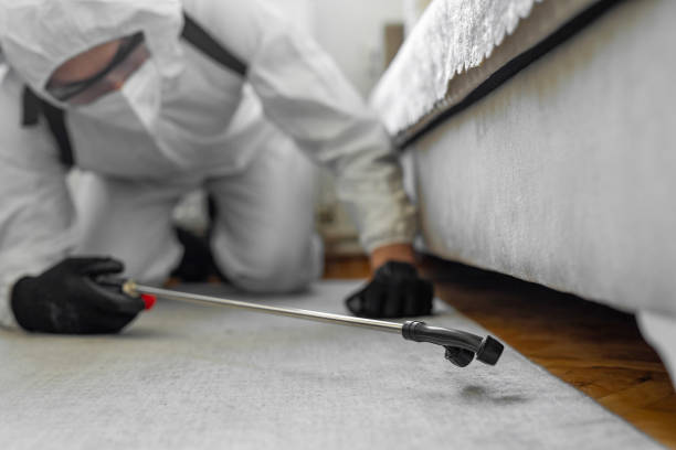 Professional Termite Control technician working in Suncrest, WA