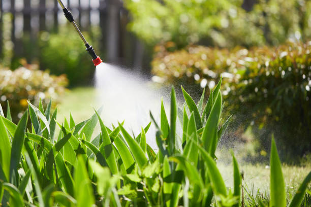 24/7 Emergency Termite Control experts in Suncrest, WA